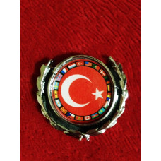Türk Bayrağı Arması